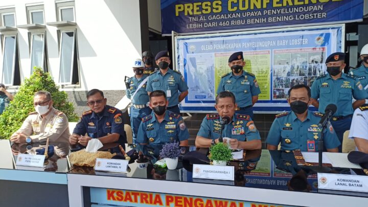 KKP Dan TNI AL Kolaborasi Tangani Penyelundupan Benih Lobster Senilai ...